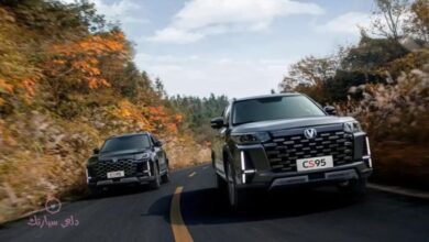 رقم شانجان للتواصل 920019992 ومعلومات عن الوكيل بالسعودية 13 رقم شانجان